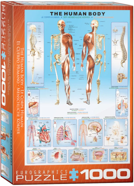 STEM Discovery Puzzle Collection